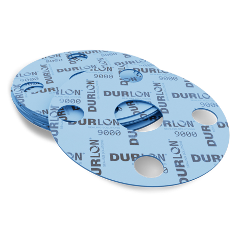 Durlon 9000 PTFE flange gaskets with center openings and bolt holes.